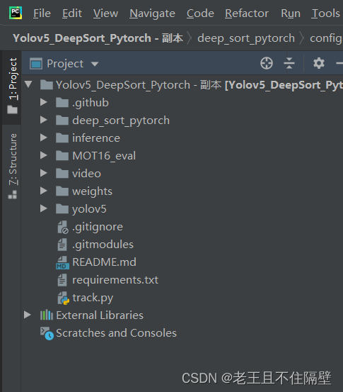 YOLOv5+DeepSort多目标跟踪教程