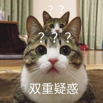 疑惑？？？