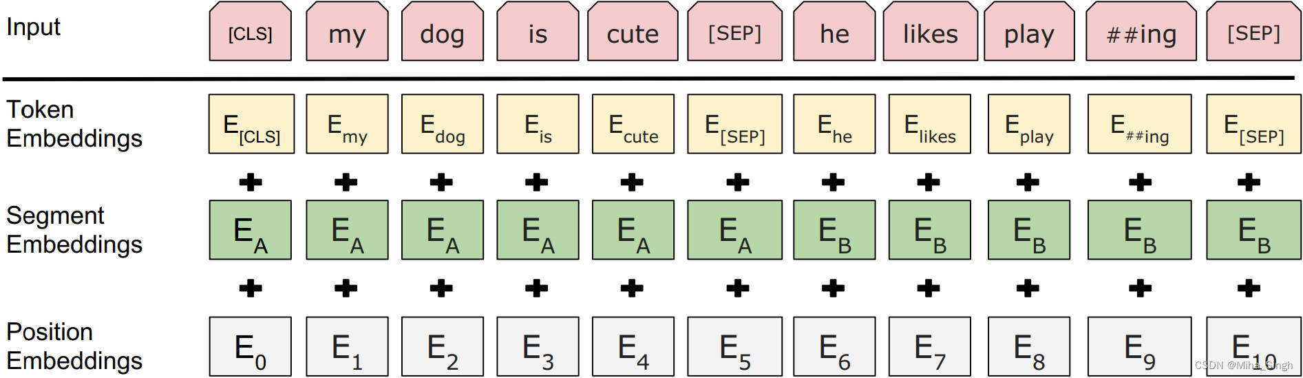 Bert Input Representation