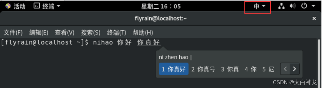 linux 系统下安装中文输入法