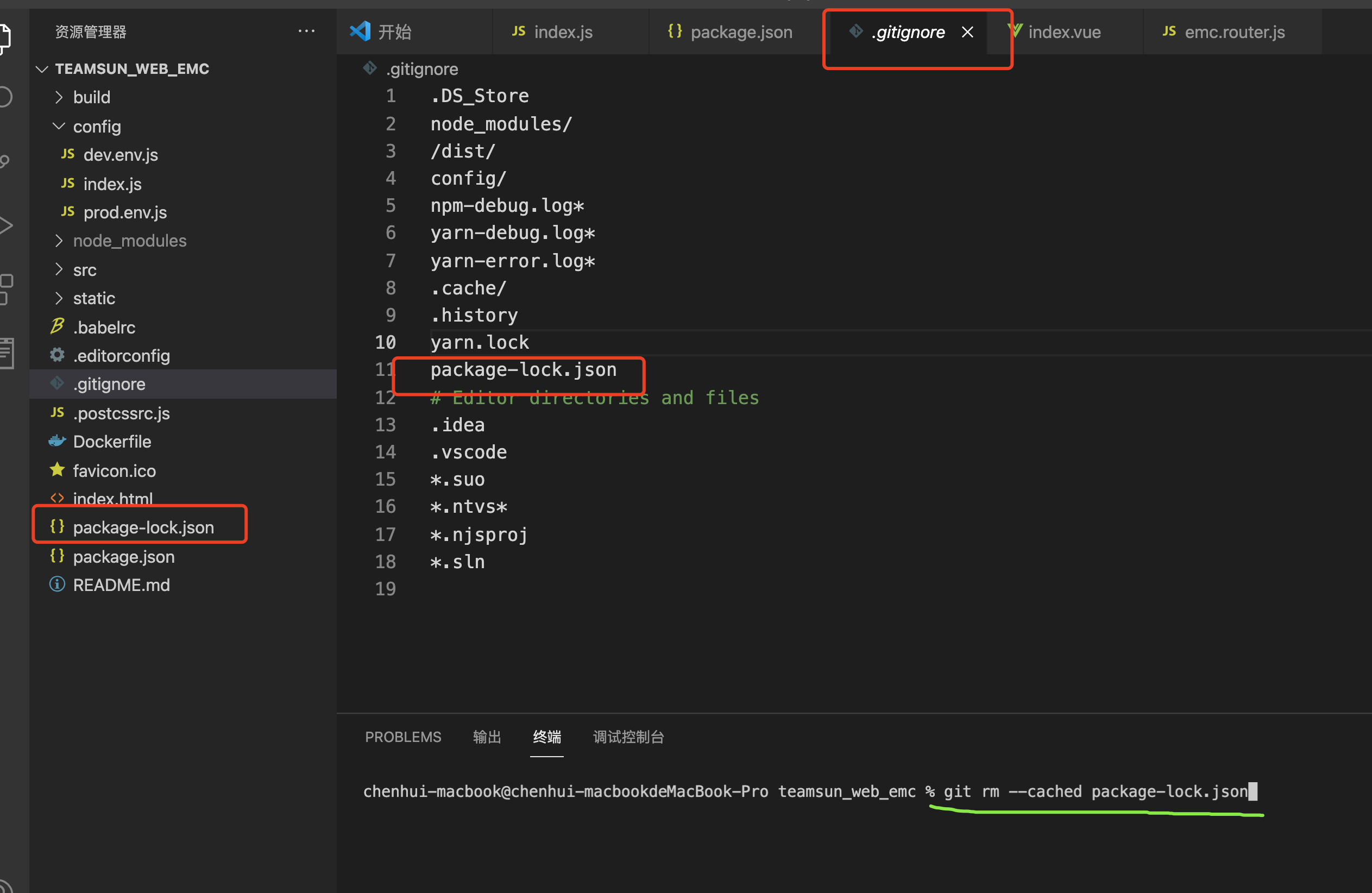 .gitignore中忽略某个文件不生效_忽略 package-lock.json-CSDN博客
