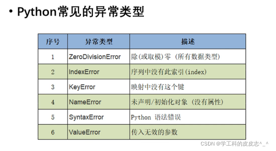 Python学习篇(十二) Python中的常见的BUG及异常处理_python 的bug和进行静态的代码分析-CSDN博客