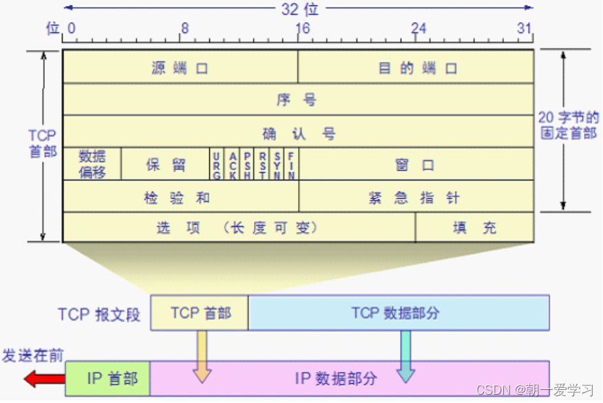 网络数据包封装/解封装