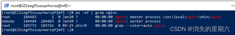 Verifique se o nginx é iniciado com sucesso