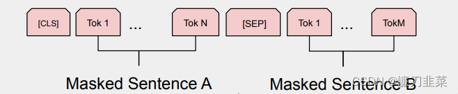 The input sequence of the model