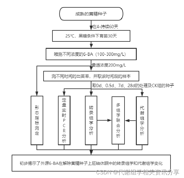 外源6-BA在缓解多花黄精种子出苗过程中的代谢及转录组学变化