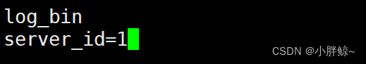 【数据库运维】环境准备，mysql日志管理