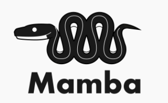 https://github.com/mamba-org/mamba