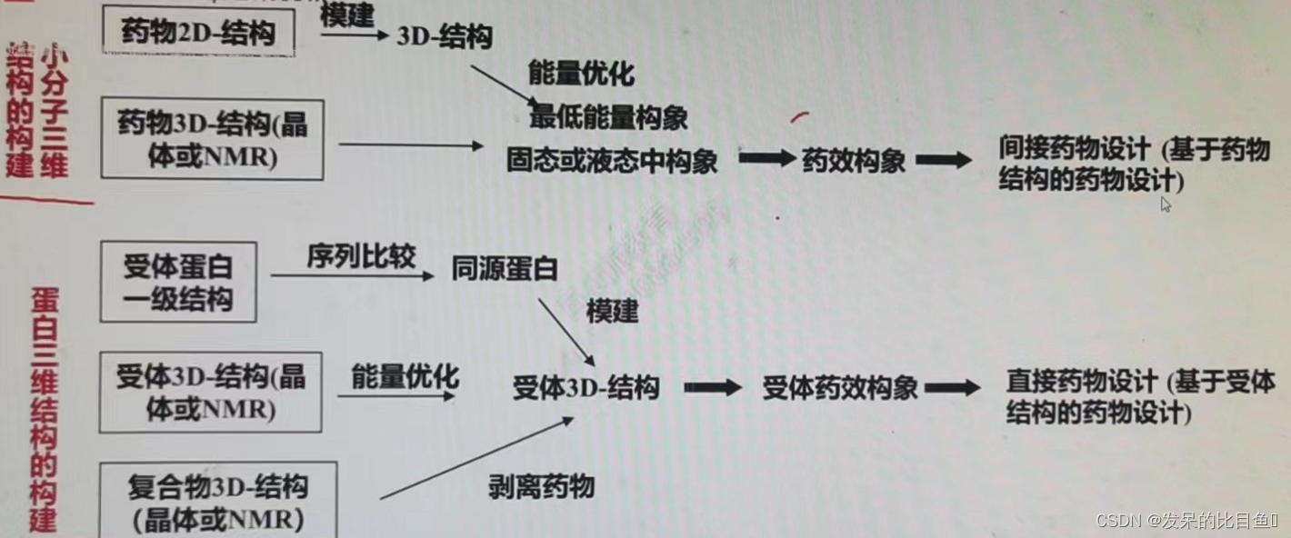 CADD课程学习（1）-- 药物设计基础知识