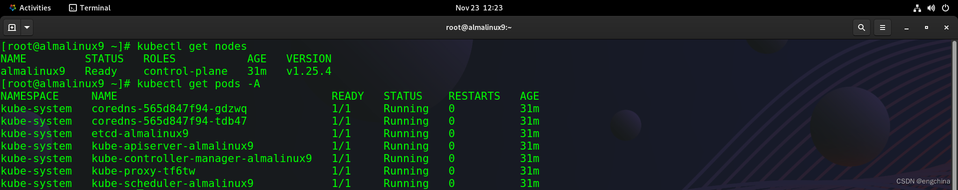 AlmaLinux 9上安装Kubernetes 1.25集群