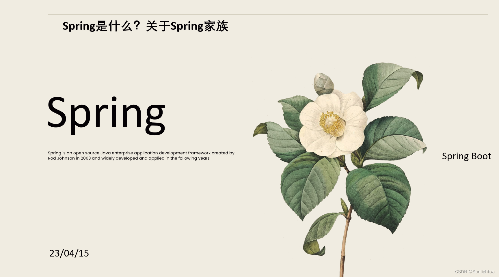 Spring是什么？关于Spring家族