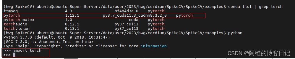 ModuleNotFoundError: No module named ‘torch‘