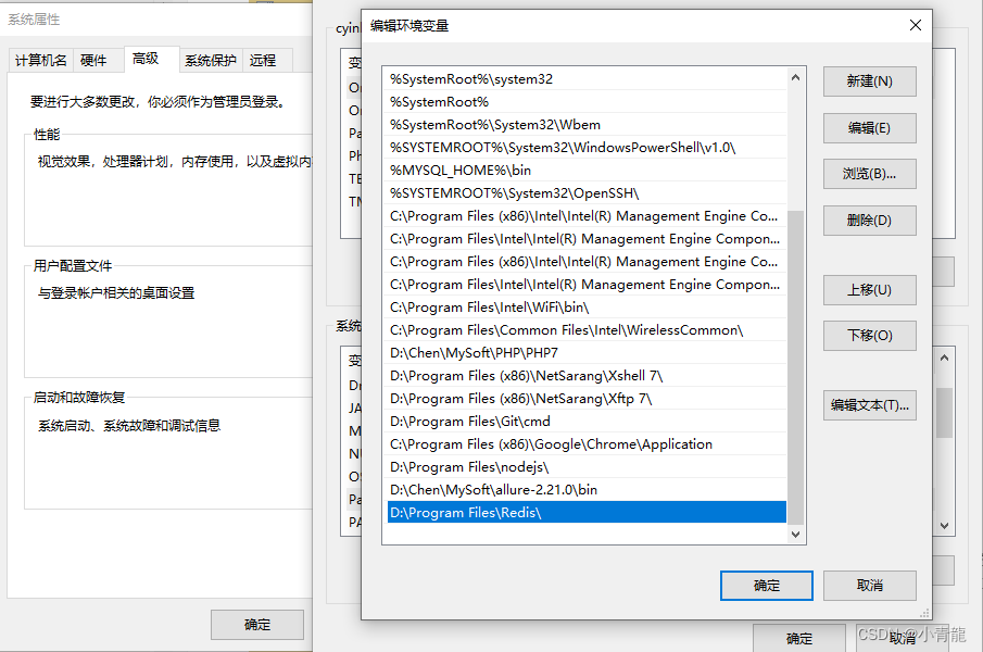 system environment variable