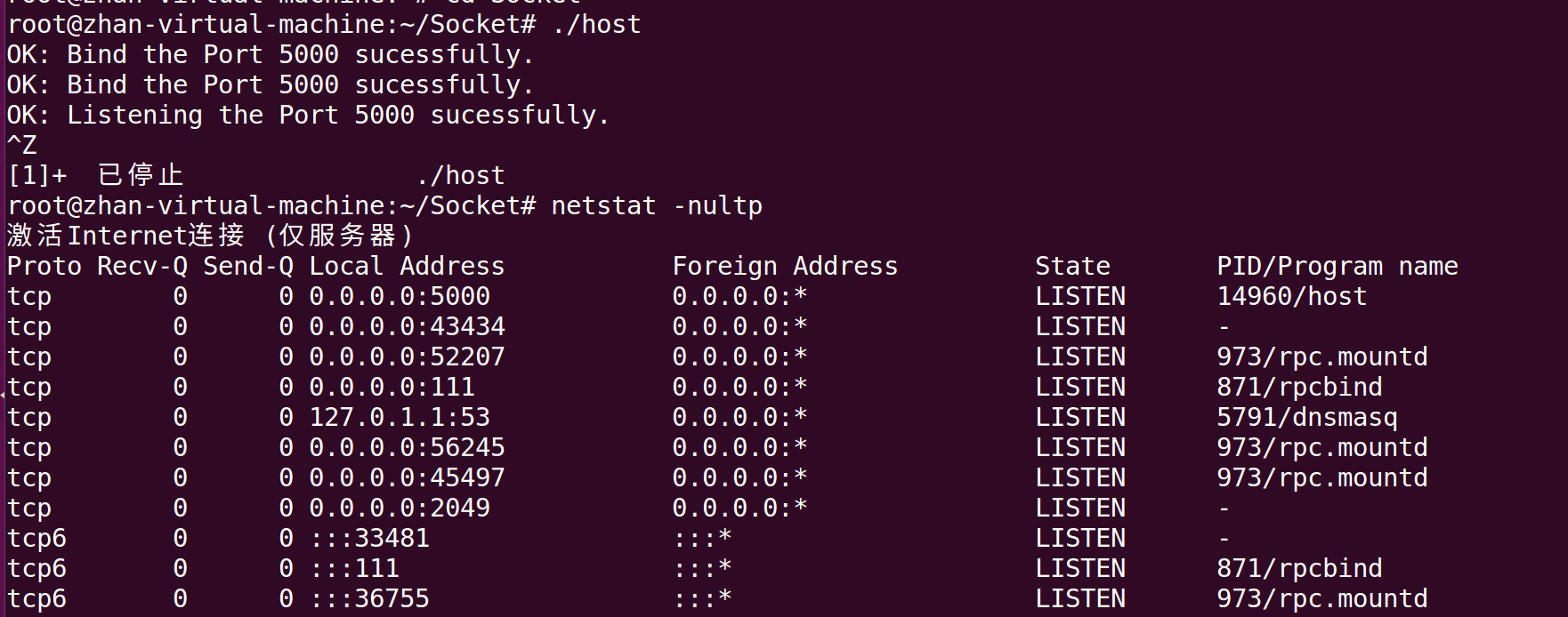 linux笔记之socket编程实现双向通信_linux socket ssl 双向 客户端-CSDN博客