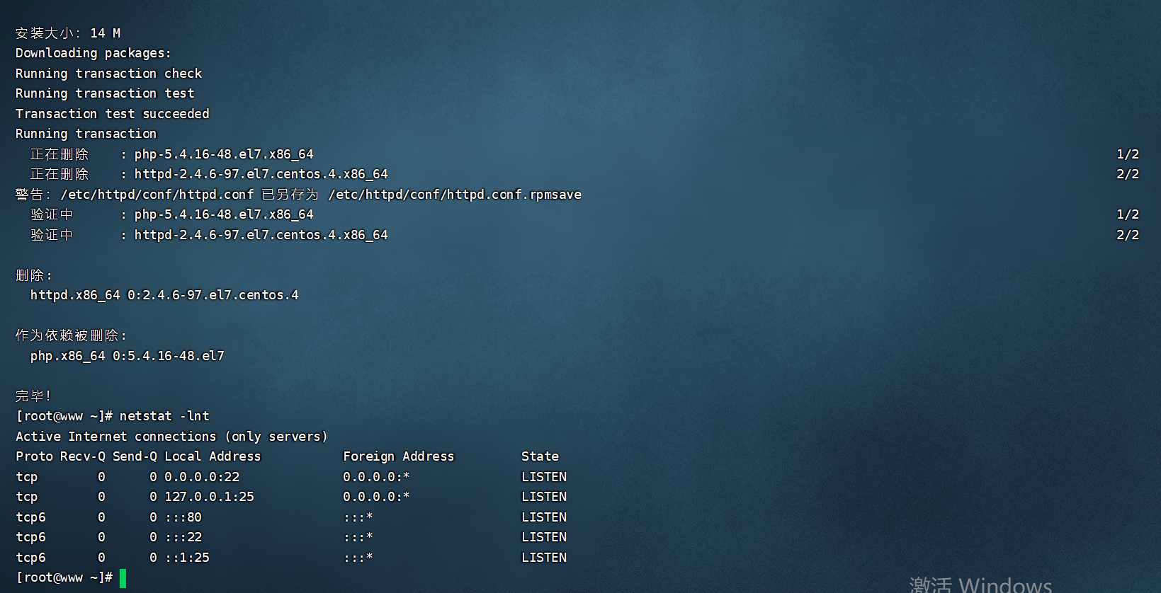二,ansible playbook执行