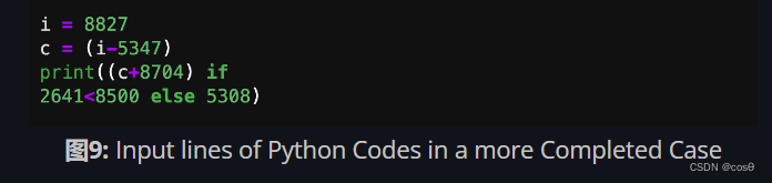 图9: Input lines of Python Codes in a more Completed Case