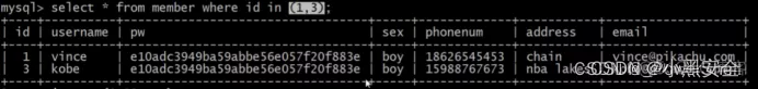 [ 漏洞挖掘基础篇四 ] 漏洞挖掘之 SQL 注入挖掘_网络_10