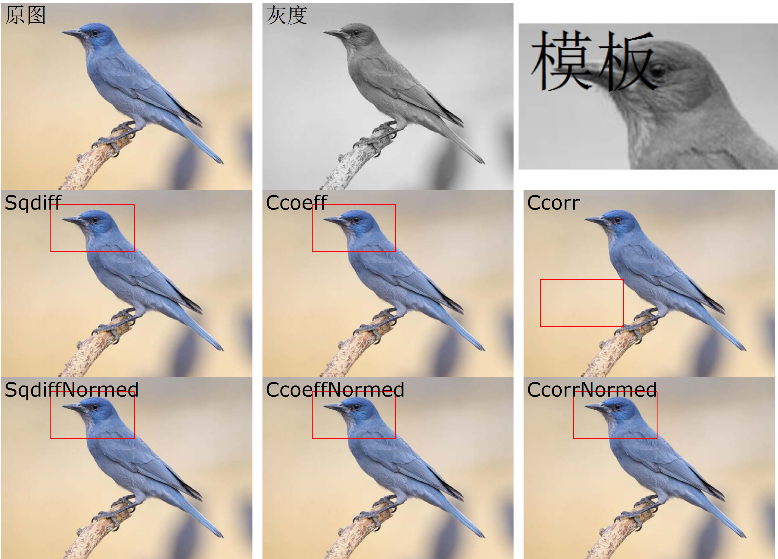 EMGU.CV入门（十五、模板匹配）_emgucv 模板匹配-CSDN博客