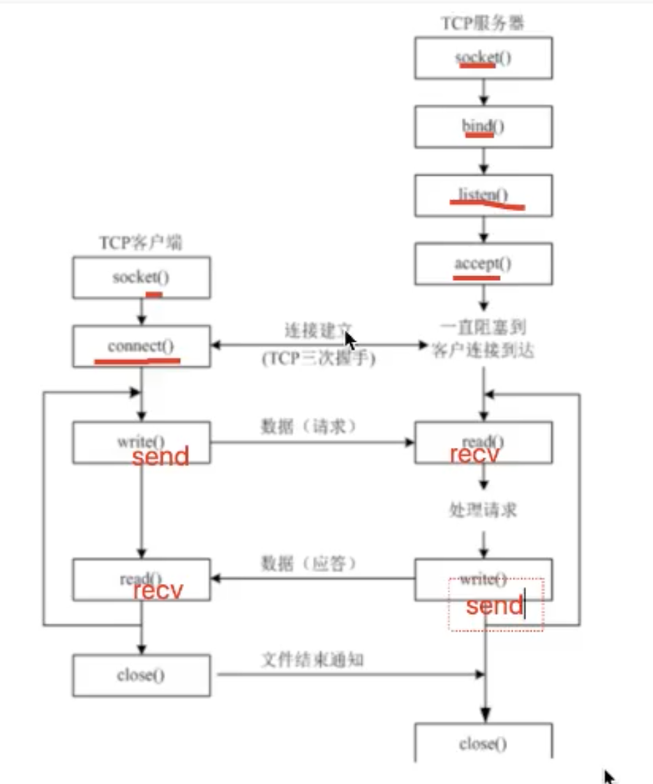 python高级 笔记 07 (TCP)_python tcp recv函数-CSDN博客