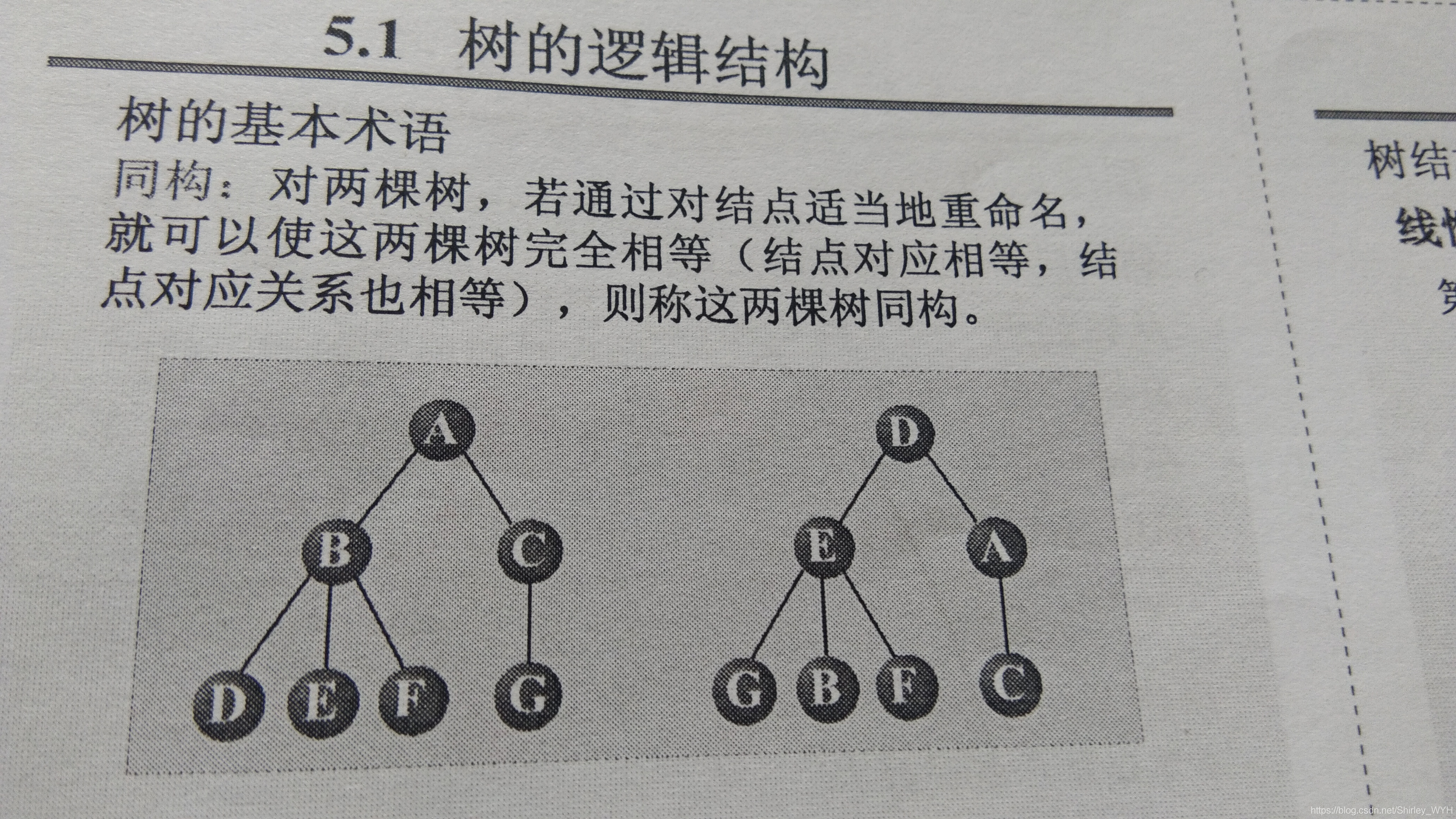 同构