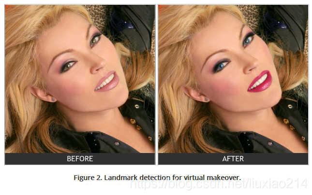 learnOpenCv】Facial Landmark Detection:人脸特征点检测的一些应用_facial landmarks-CSDN博客