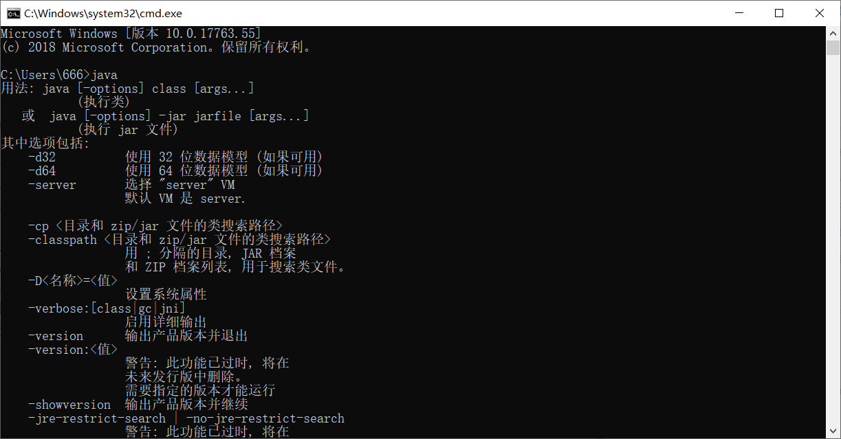 输入Java命令输出信息