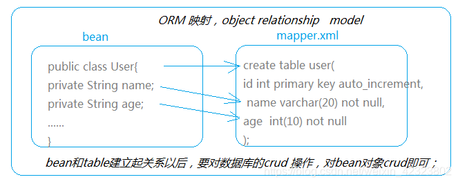 模型