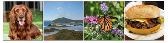 【GANs学习笔记】(十三)BIGGAN