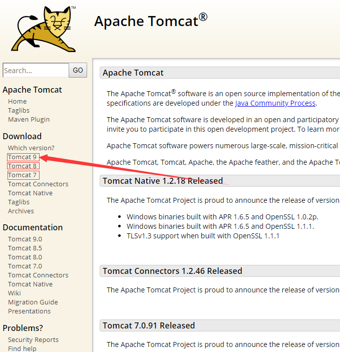 Tomcat服务器下载、安装、配置环境变量教程(超详细)