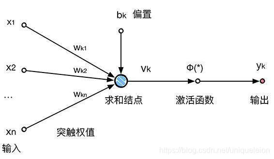 神经元简化图