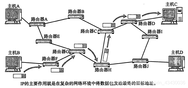 IP作用