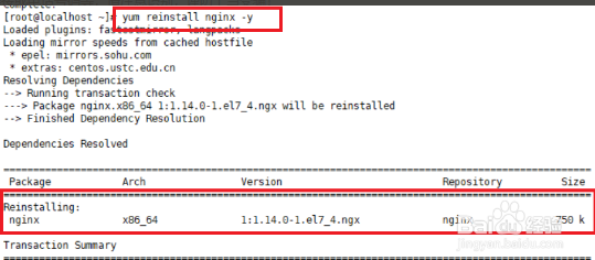 如何在Linux中使用命令行卸载软件