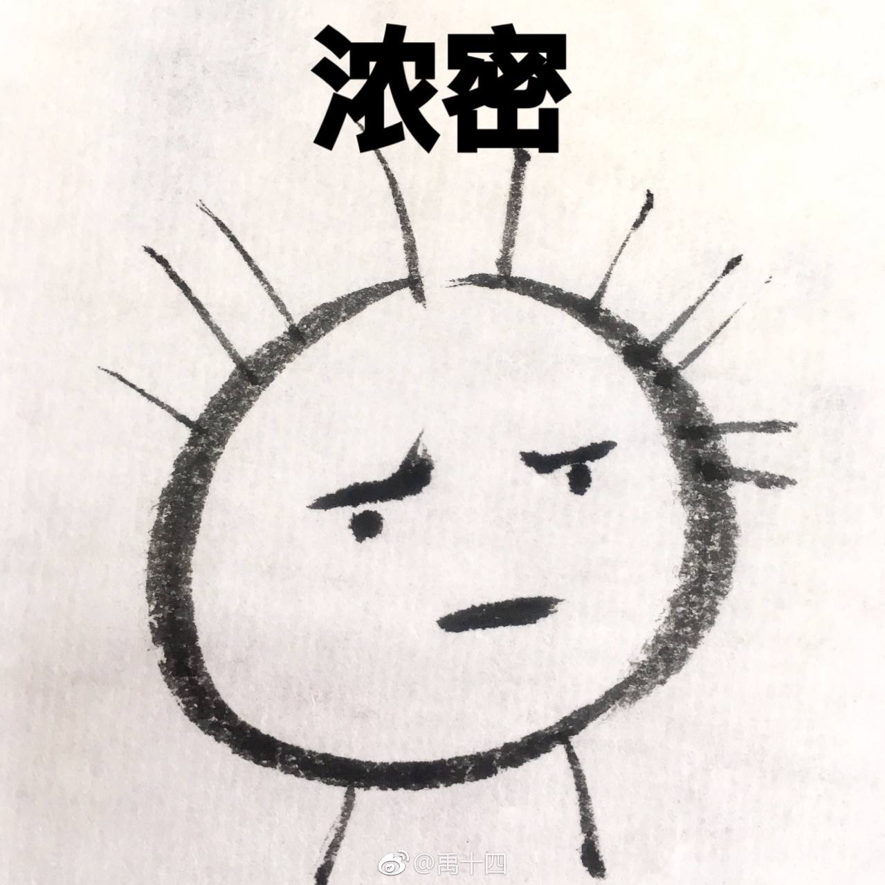 作为程序员你脱发吗？