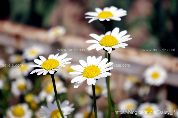 在這裡插入圖片描述