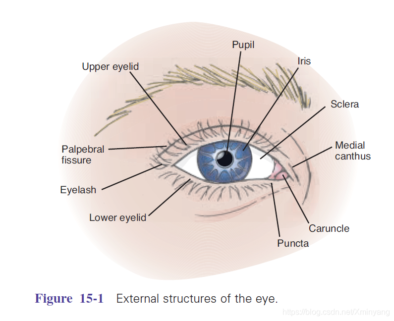 Figure 15-1