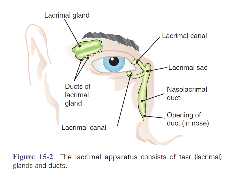 Figure 15-2.png