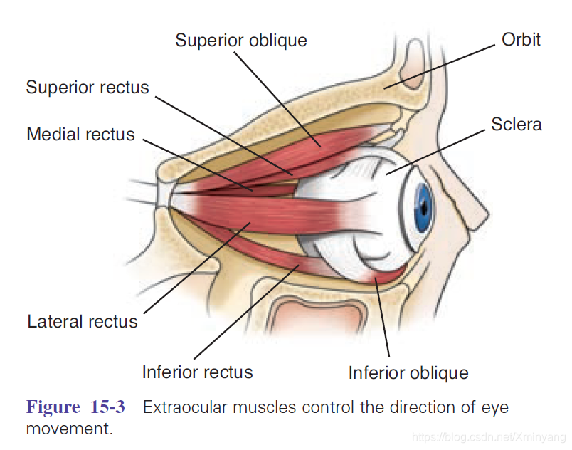 Figure 15-3