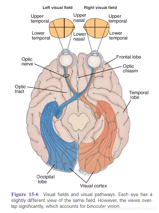 Figure 15-6