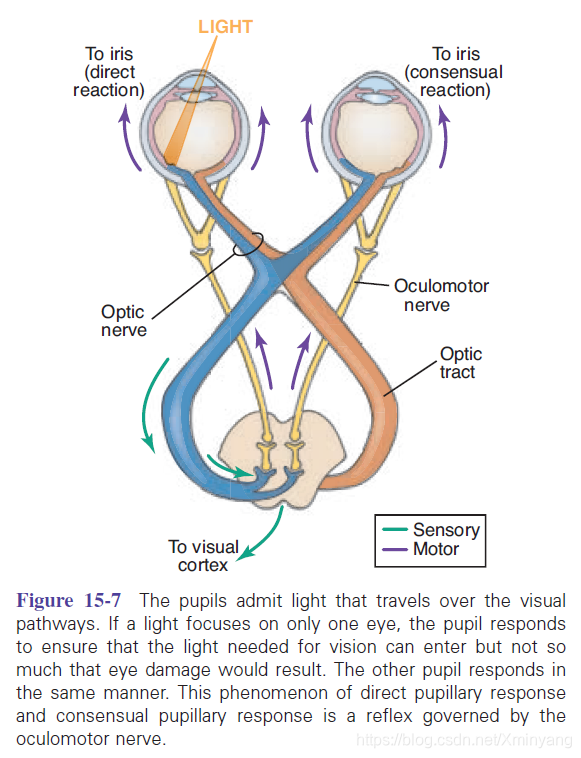 Figure 15-7