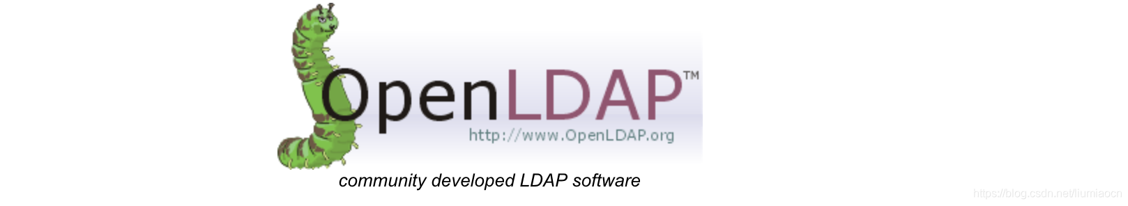 LDAP基础:1:使用docker快速搭建OpenLdap服务器_docker部署bm-user-CSDN博客