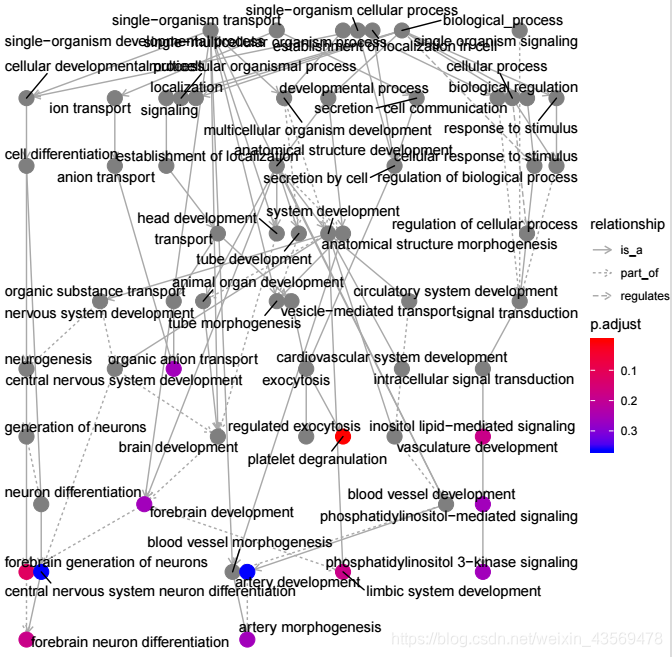 使用clusterProfiler进行GO富集分析_clusterprofiler 使用-CSDN博客