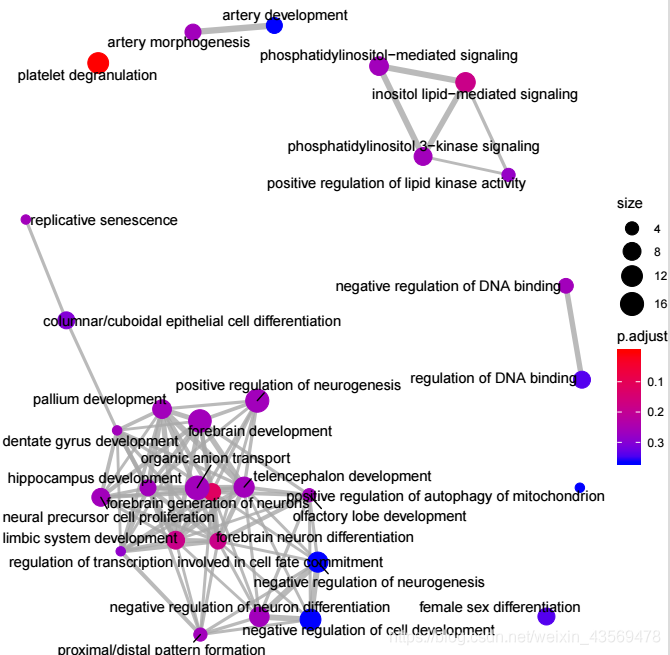 使用clusterProfiler进行GO富集分析_clusterprofiler 使用-CSDN博客