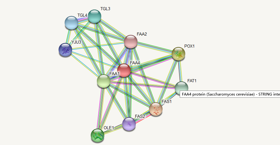 STRING:蛋白质相互作用(PPI网络)数据库简介_string ppi-CSDN博客