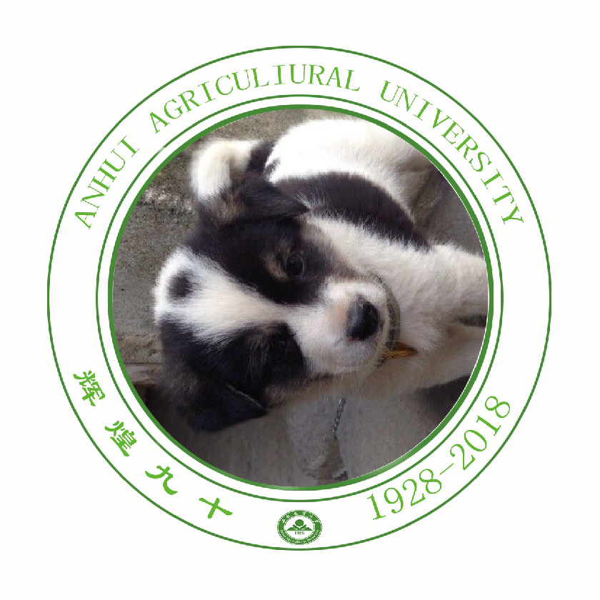 小程序