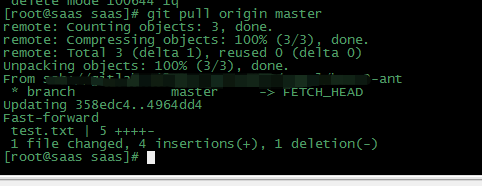 git pull origin master in a branch