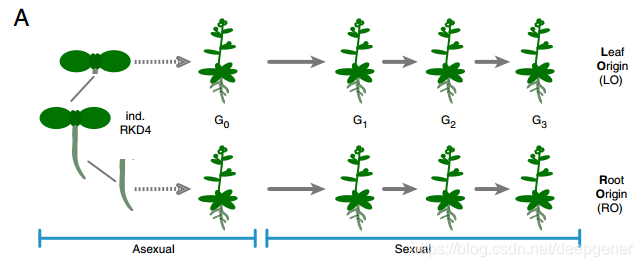 Fig.1