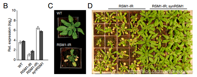 Fig.4