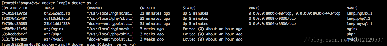 error-response-from-daemon-conflict-the-container-name-mysql-is