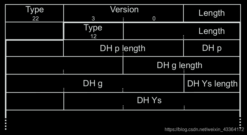 The beginning of an SSL S ERVER K EY E XCHANGE message using Diffie-Hellman