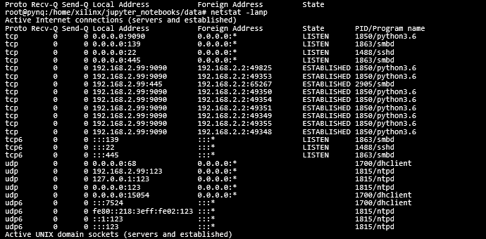 PYNQ-Z1 SDK TCF